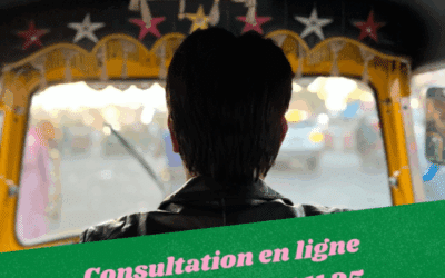 Mes consultations se feront en ligne durant mon séjour en Inde